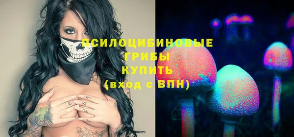 не бодяженный Осташков