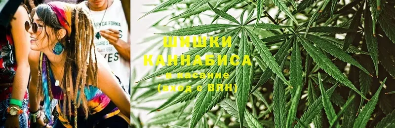 Каннабис SATIVA & INDICA  Болхов 